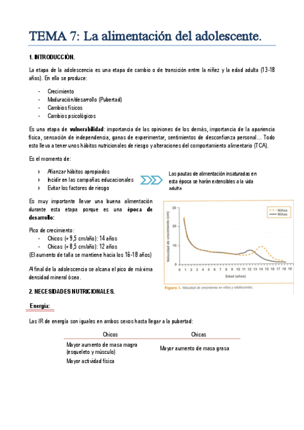 Miniatura del documento TEMA 7. La alimentación del adolescente.pdf