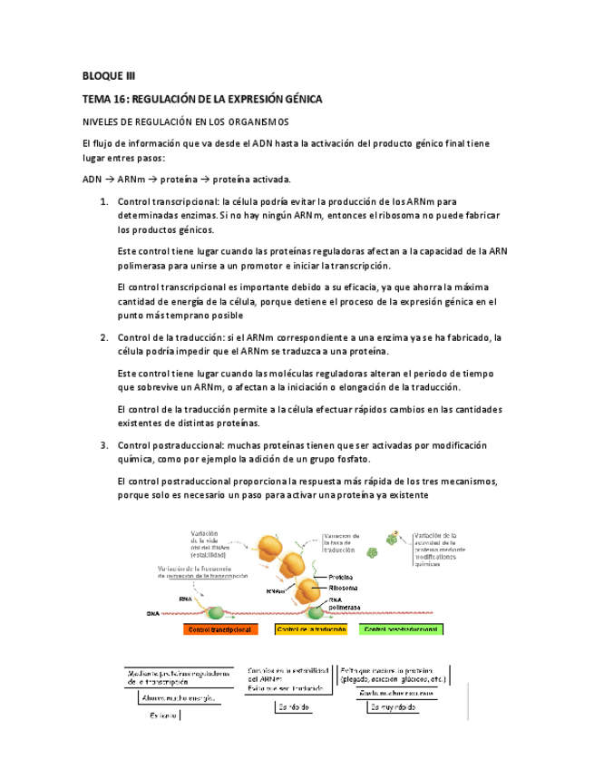 Miniatura del documento tema 16-.pdf