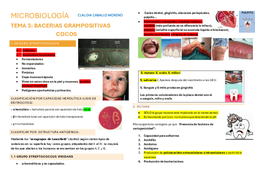 Miniatura del documento Microbiologia-esquemas-TEMA-3.pdf
