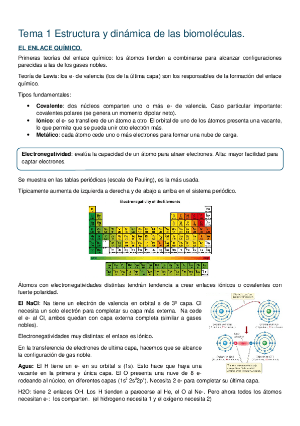 Miniatura del documento Apuntes-Tema-1-Estructura-y-dinamica-de-las-biomoleculas.docx