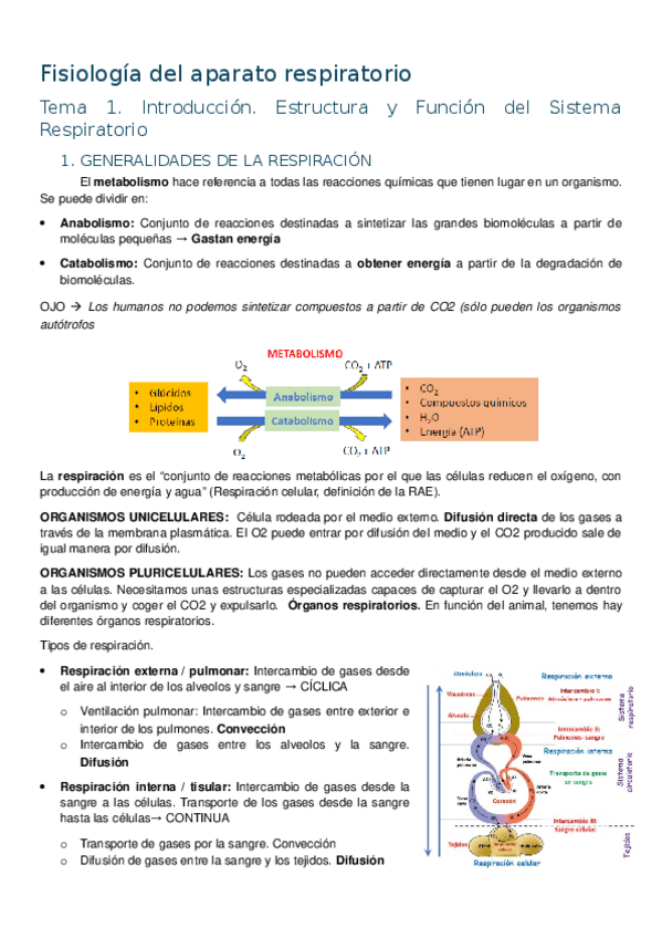 Miniatura del documento Apuntes-tema-4-Fisiologia-del-aparato-respiratorio.docx