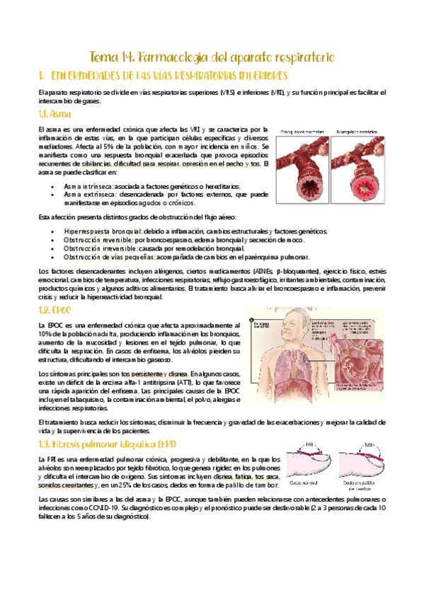 Miniatura del documento FARMACOLOGIA-DEL-APARATO-RESPIRATORIO-Y-DIGESTIVO.pdf