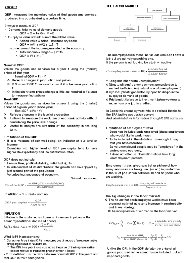 Miniatura del documento topic-1-macro-resumen.pdf