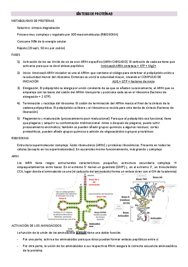 Miniatura del documento Apuntes-biosintesis-2a-parte.pdf