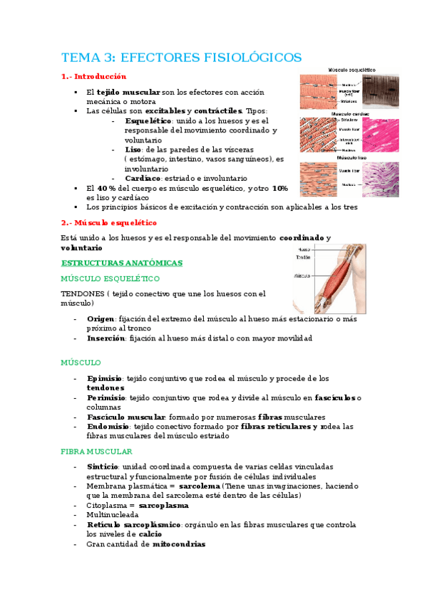 Miniatura del documento tema-3.-efectores-fisiologicos.docx