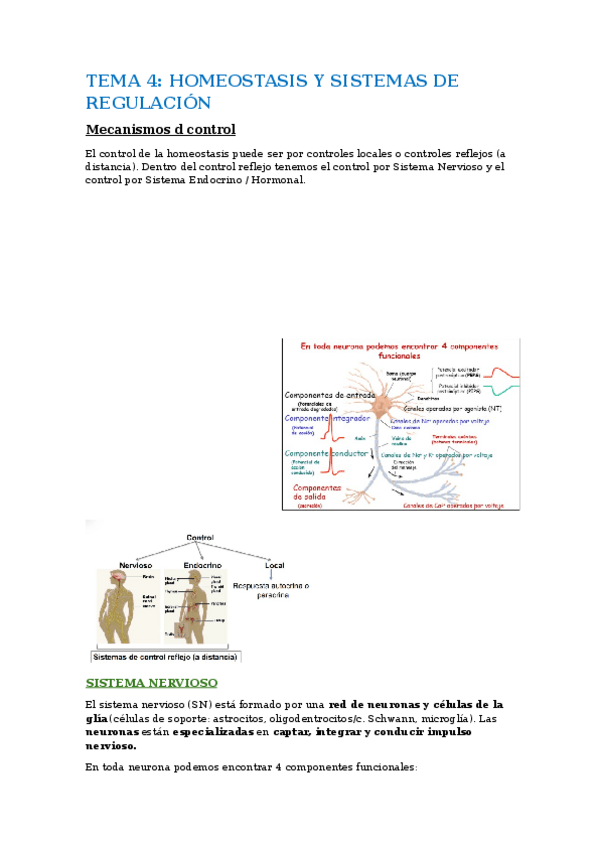 Miniatura del documento tema4.-homeostasis-y-sistema-de-regulacion.docx
