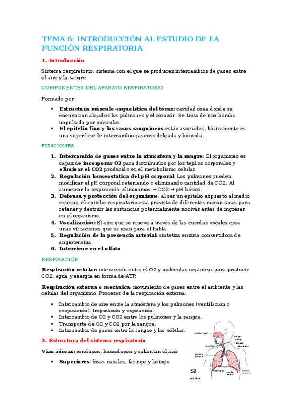 Miniatura del documento tema-6.-introduccion-al-estudio-de-la-funcion-respiratoria.docx