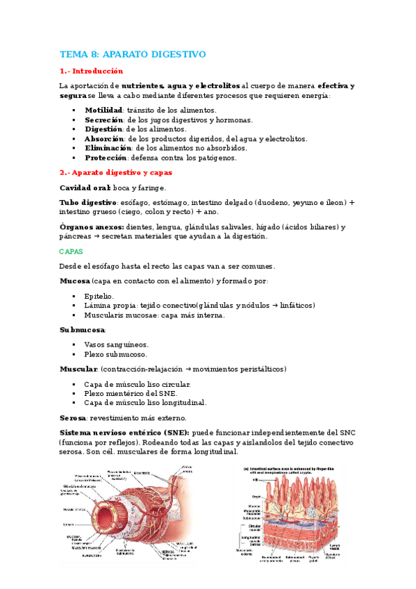 Miniatura del documento tema-8.-aparato-digestivo.docx