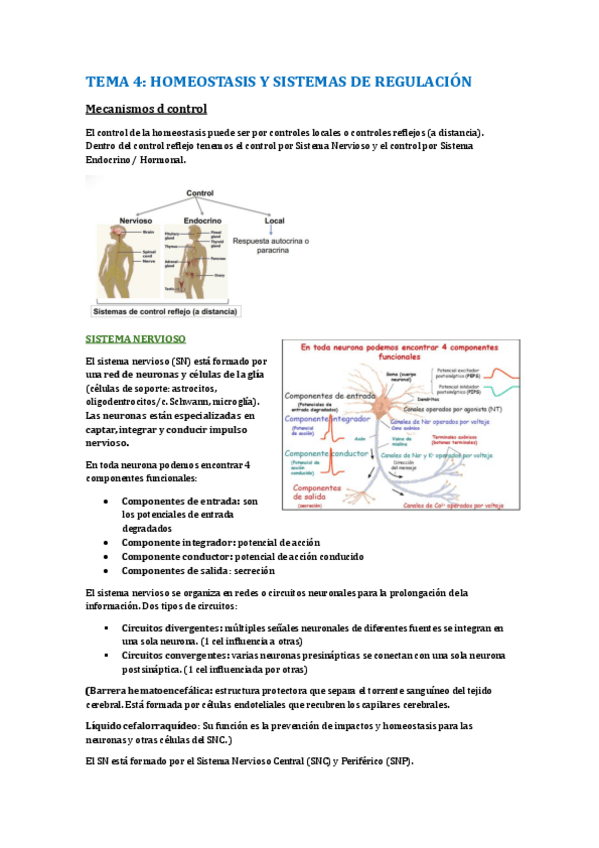 Miniatura del documento tema4.-homeostasis-y-sistema-de-regulacion.pdf