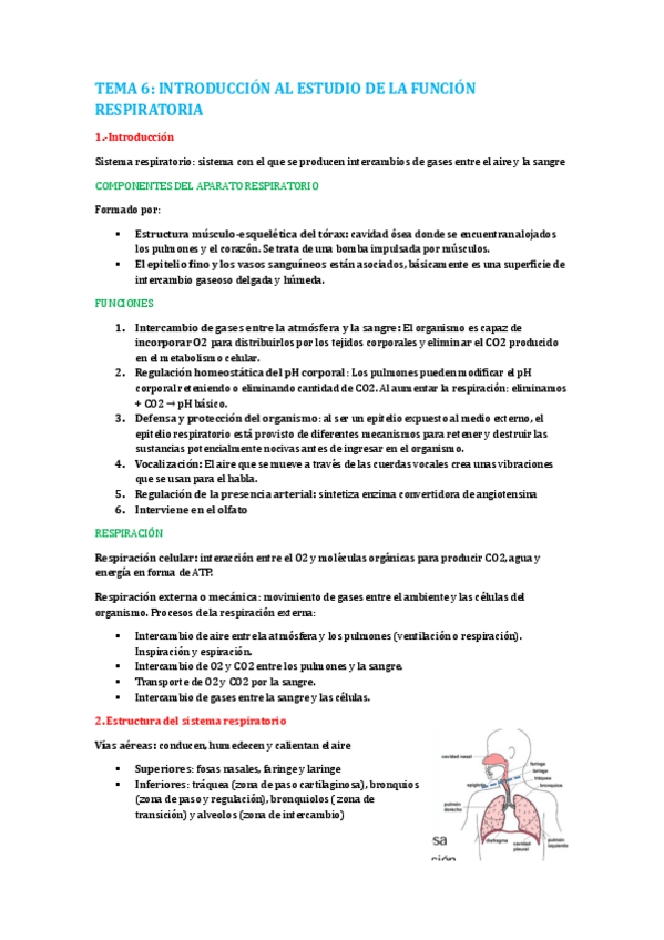 Miniatura del documento tema-6.-introduccion-al-estudio-de-la-funcion-respiratoria.pdf