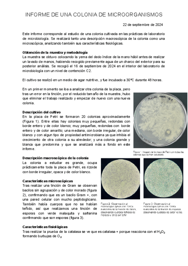 Miniatura del documento Informe-de-una-colonia.pdf