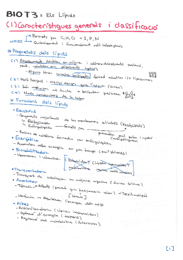 Miniatura del documento BIO-T3-LIPIDS.pdf