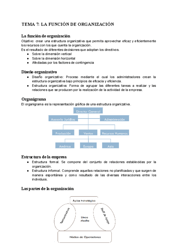 Miniatura del documento TEMA-7-LA-FUNCION-DE-ORGANIZACION-1.pdf