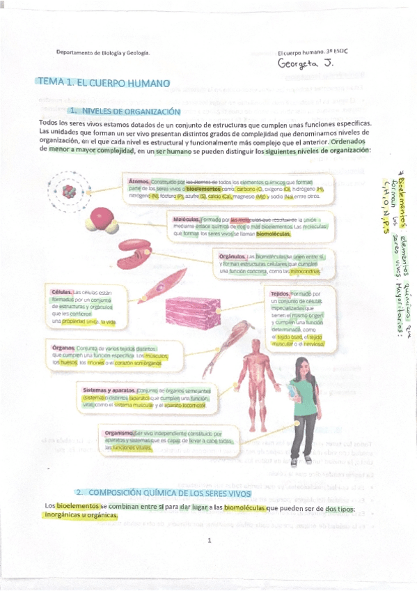 Miniatura del documento EL-CUERPO-HUMANO-3-ESO.pdf