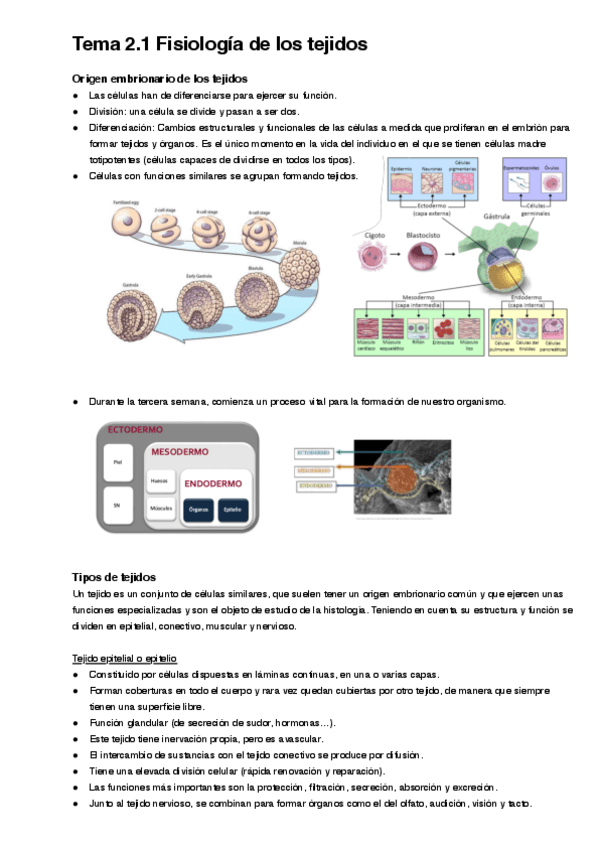 Miniatura del documento Tema-2.1.pdf