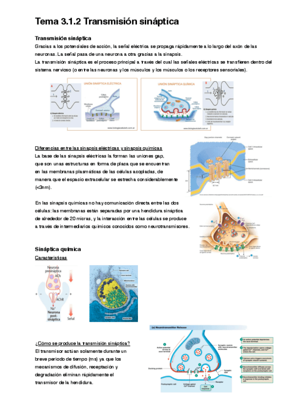 Miniatura del documento Tema-3.1.2.pdf