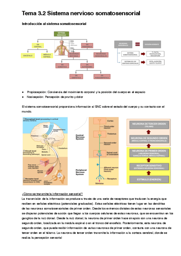 Miniatura del documento Tema-3.2.pdf