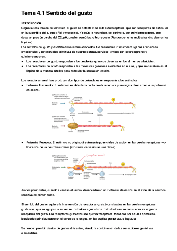 Miniatura del documento Tema-4.1.pdf