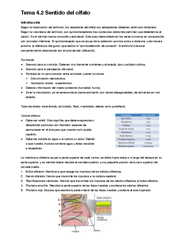 Miniatura del documento Tema-4.2.pdf