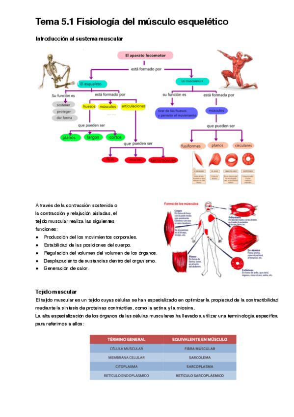Miniatura del documento Tema-5.1.pdf