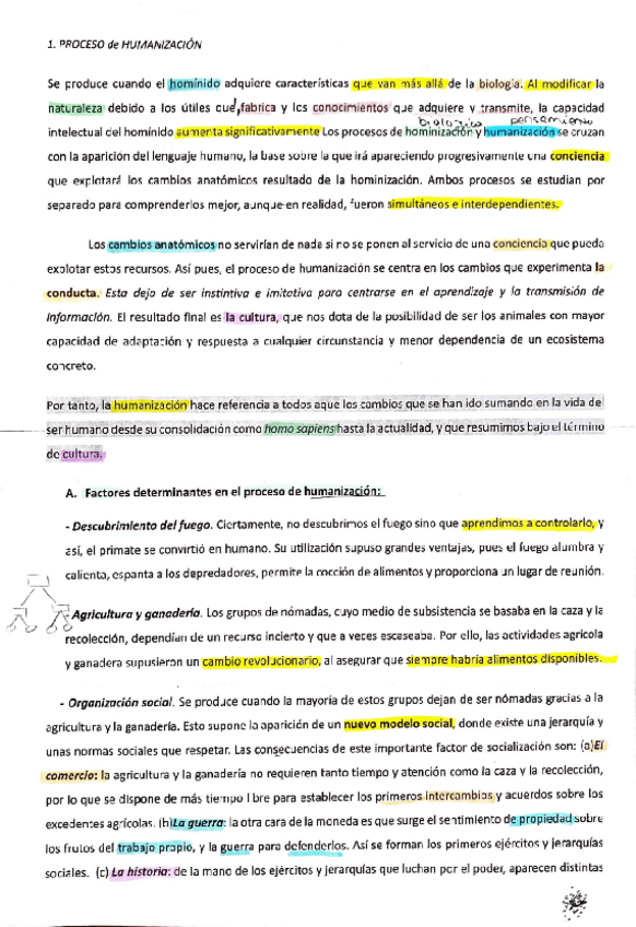 Miniatura del documento Filosofia-Fichas-resueltas-del-proceso-de-hominizacion-y-humanizacion-actividades-y-respuestas.pdf