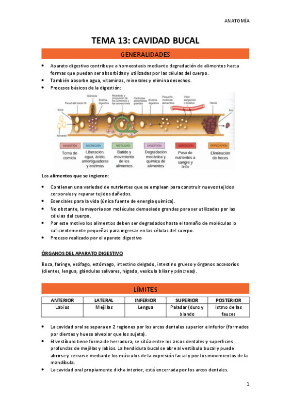 Miniatura del documento TEMA-13.pdf