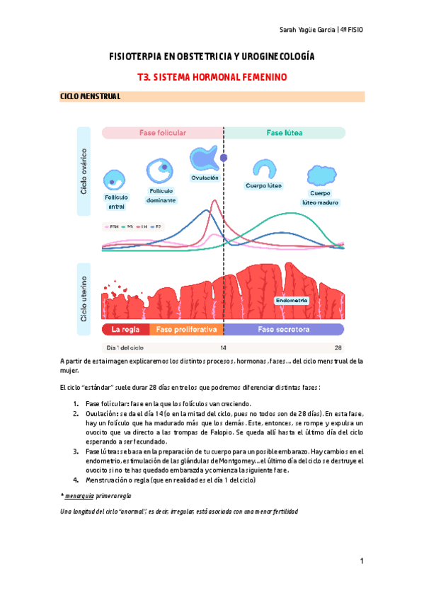 Miniatura del documento T3-Sistema-Hormonal-Femenino.pdf