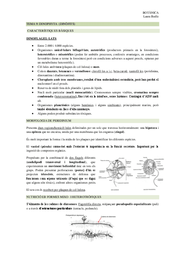 Miniatura del documento TEMA-9.pdf