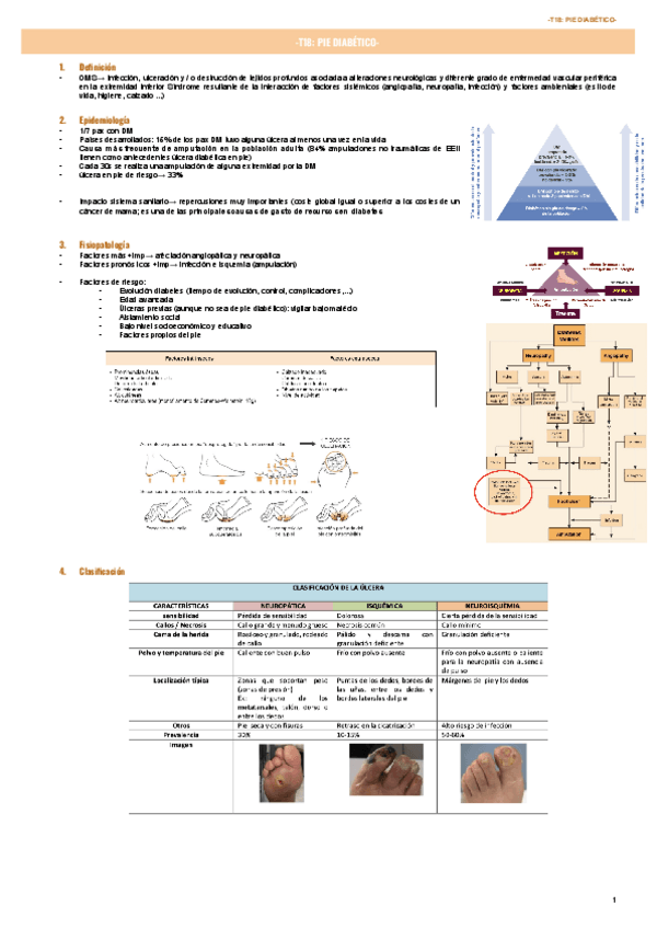 Miniatura del documento T18-PIE-DIABETICO-.pdf