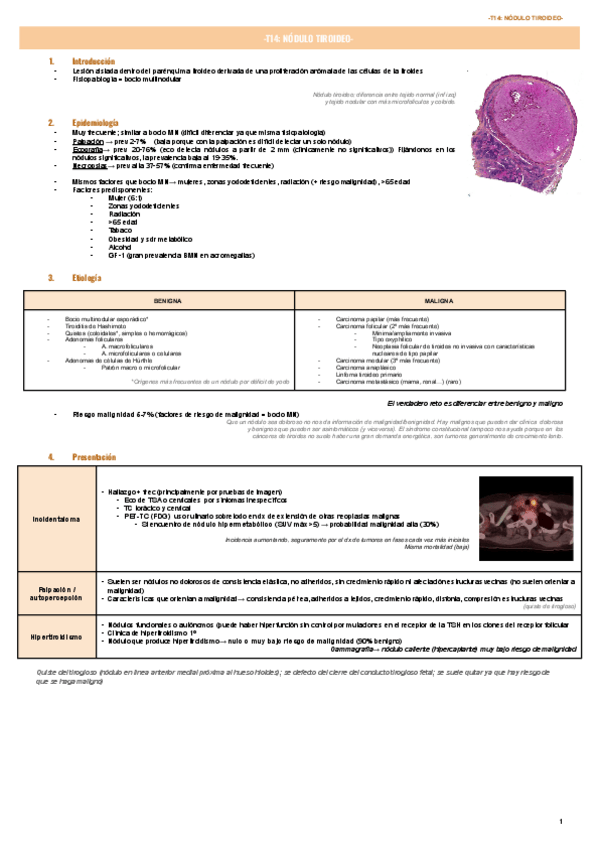 Miniatura del documento T14-NODULO-TIROIDEO-.pdf