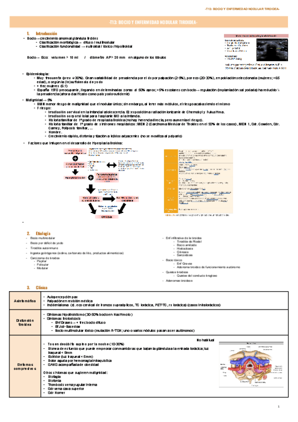 Miniatura del documento T13-BOCIO-Y-ENFERMEDAD-NODULAR-TIROIDEA-.pdf