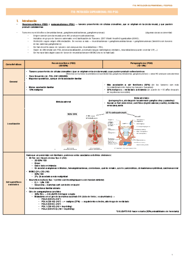 Miniatura del documento T10-PATOLOGIA-SUPRARRENAL-FEOPGG-.pdf