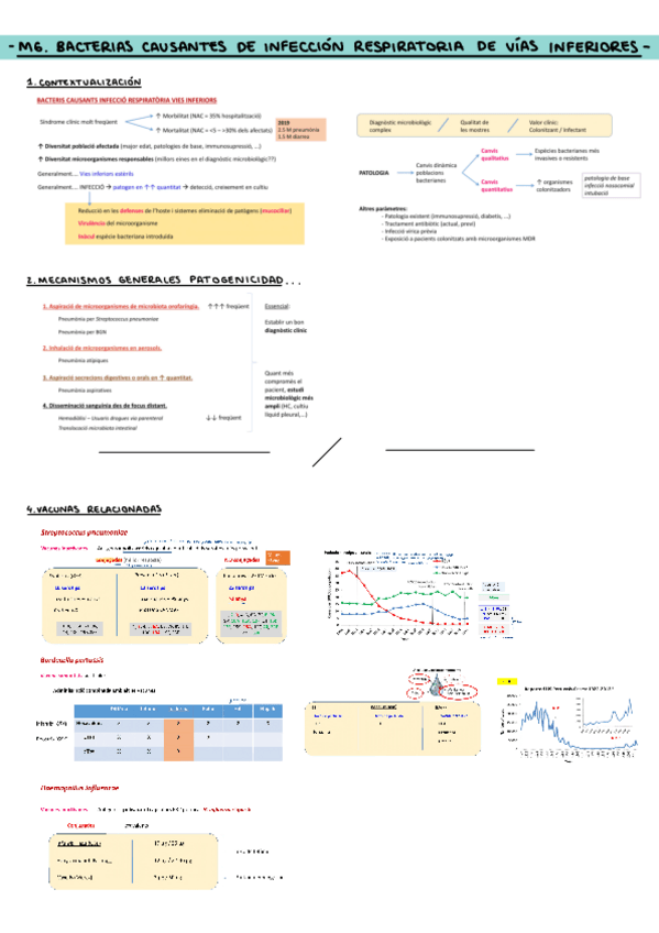 Miniatura del documento M6BACTERIAS-CAUSANTES-DE-INFECCION-RESPIRATORIA-DE-VIAS-INFERIORES.pdf