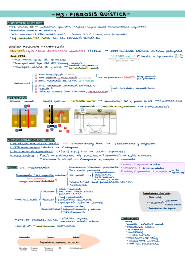 Miniatura del documento M3Fibrosis-quistica.pdf