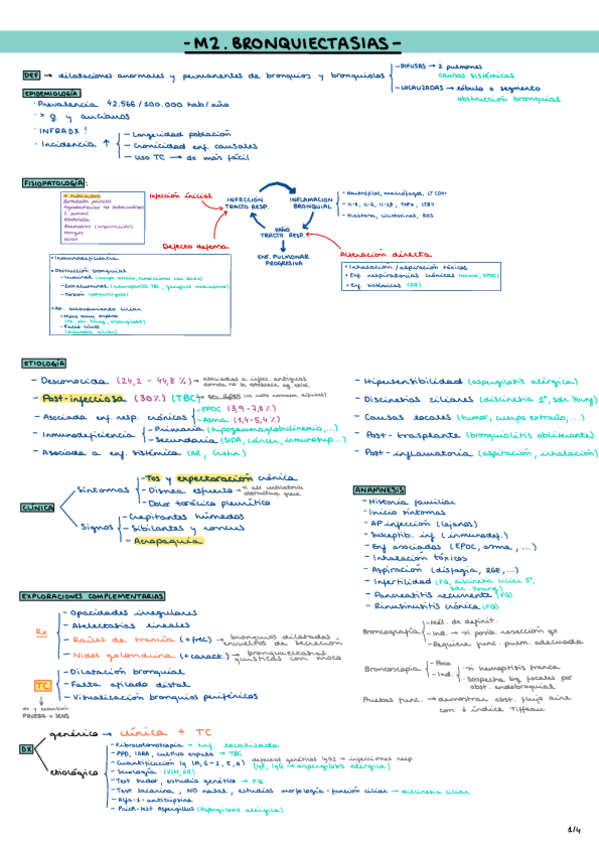 Miniatura del documento M2Bronquiectasias.pdf