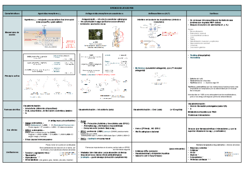 Miniatura del documento BRONCODILATADORES-Y-ANTIINFLAMATORIOS-.pdf