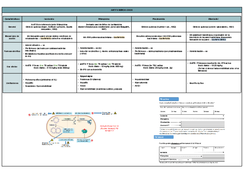 Miniatura del documento ANTITUBERCULOSOS-Y-ANTIMICROBIANOS-.pdf