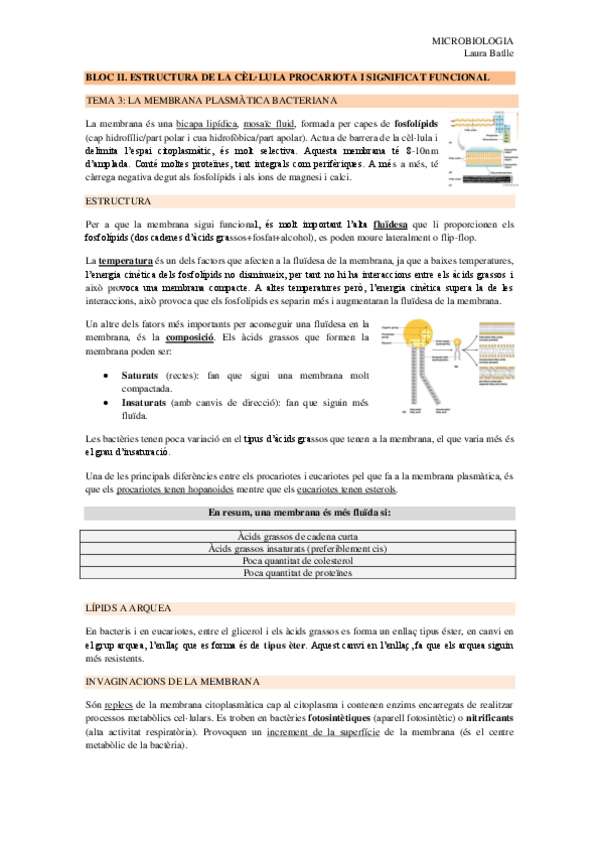 Miniatura del documento BLOC-II-tema-3-4-5-6.pdf