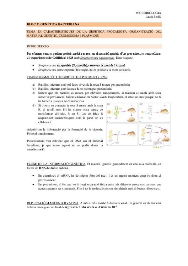 Miniatura del documento BLOC-V-tema-13-14.pdf