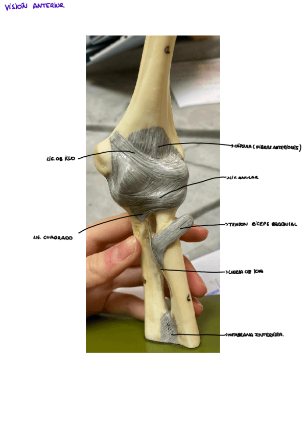 Miniatura del documento CODO.pdf