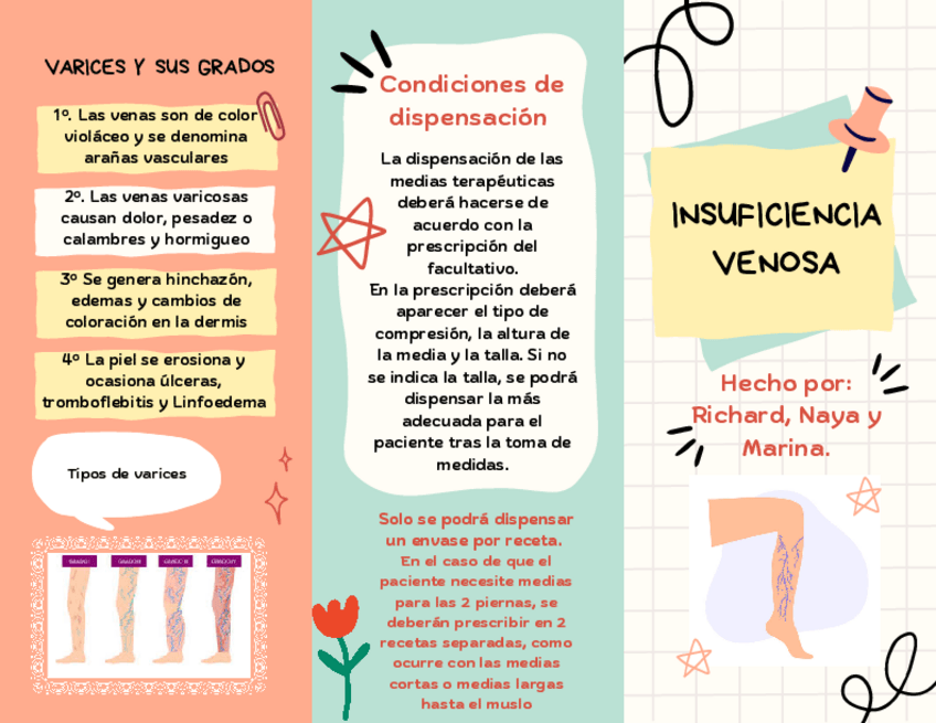 Miniatura del documento Triptico-insuficiencia-venosa.pdf