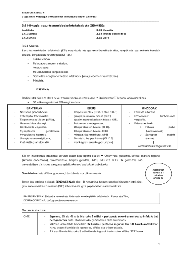 Miniatura del documento 3.6-Mintegia-sexu-transmisiozko-infekzioak-eta-GIBHIESa.pdf