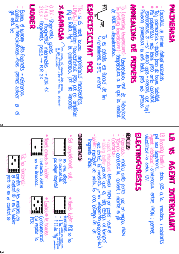 Miniatura del documento resum-examen-practiques-per-imprimir-i-doblegar.pdf