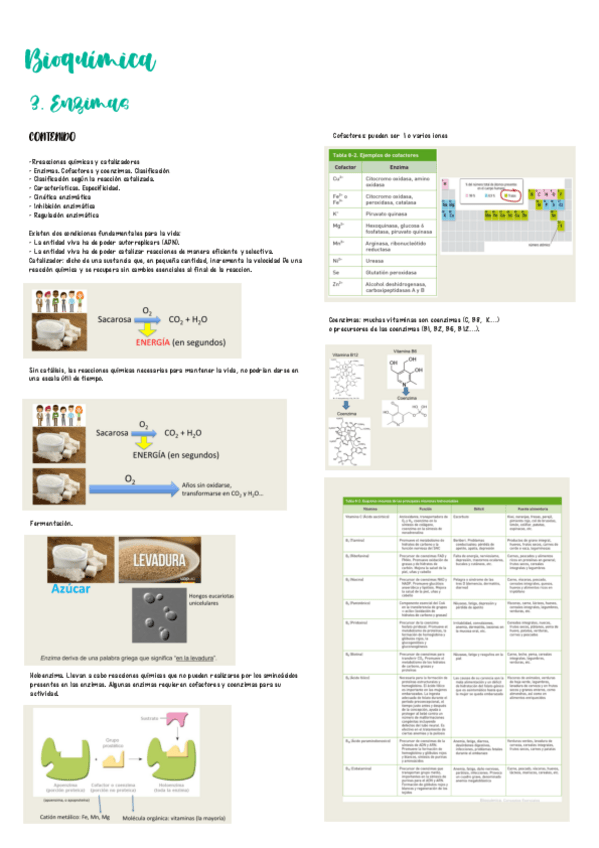 Miniatura del documento Bioquimica-tema-3.pdf