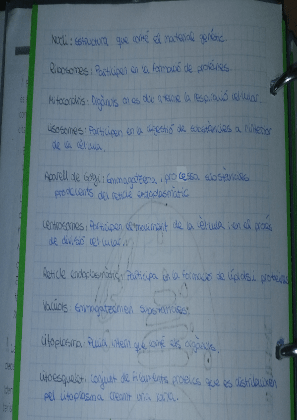 Miniatura del documento DEFINICIONS-DELS-PARTS-DE-LA-CELLULA-EUCARIOTA-ANIMAL.pdf