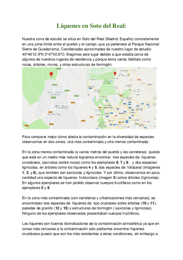 Miniatura del documento TRABAJO LIQUENES.docx