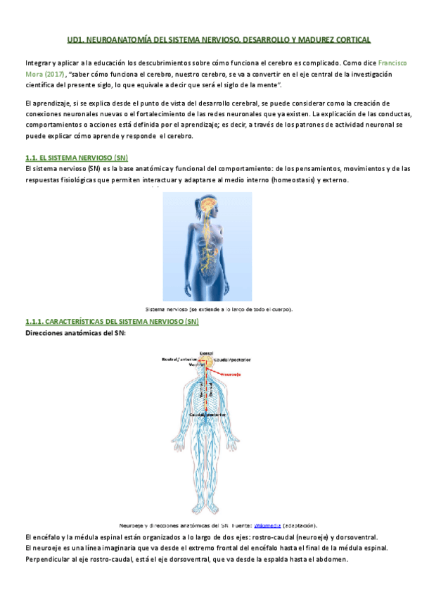 Miniatura del documento UD1-resumen-completo-Neuro.pdf