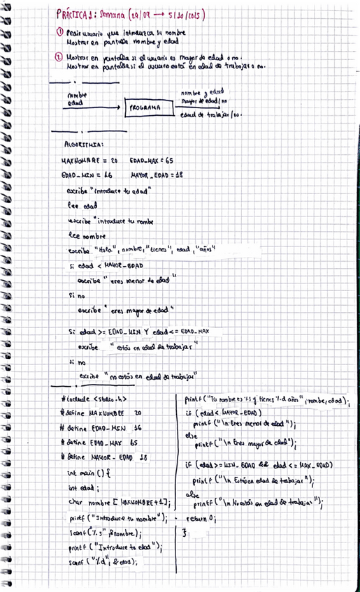 Miniatura del documento INF_PRACTICA_1_ESTRUCTURA_EXAMEN.pdf