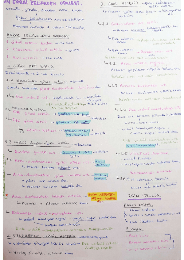 Miniatura del documento 14.-Errai-zeliakoen-odoleztapena--Mesenterioak.pdf