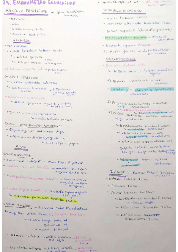 Miniatura del documento 23.-Emakumeen-ernalkinak.pdf